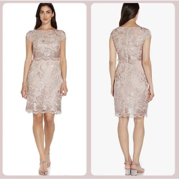 Adrianna Papell Dresses & Skirts - NWT Adrianna Papell Dusty Rose Embroidered Lace Popover Dress Size 2 NEW